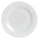 Virtuoso 9.5 inch Porcelain Buffet Plate, 24 count
