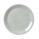 Ink Crackle Green Alumina Vitrified 10 inch Taste Coupe Plate, 12 count