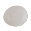 Potter's Collection 3 7/8 inch Shell Porcelain Oil Dish, 24 count