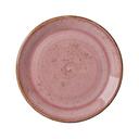 Craft Raspberry Alumina Vitrified 10 inch Taste Coupe Plate, 12 count