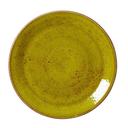 Craft Apple Alumina Vitrified 10 inch Taste Coupe Plate, 12 count