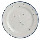 Brisa 6.25 inch Rimmed Rolled Edge Plate, 24 count