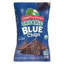 Salted Blue Tortilla Chips
