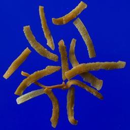 Product thumb gallery 625356987