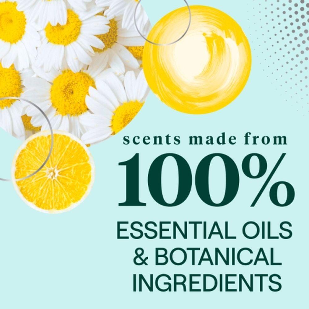 Product gallery 448310603