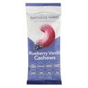Blueberry Vanilla Cashews 1 Ounce