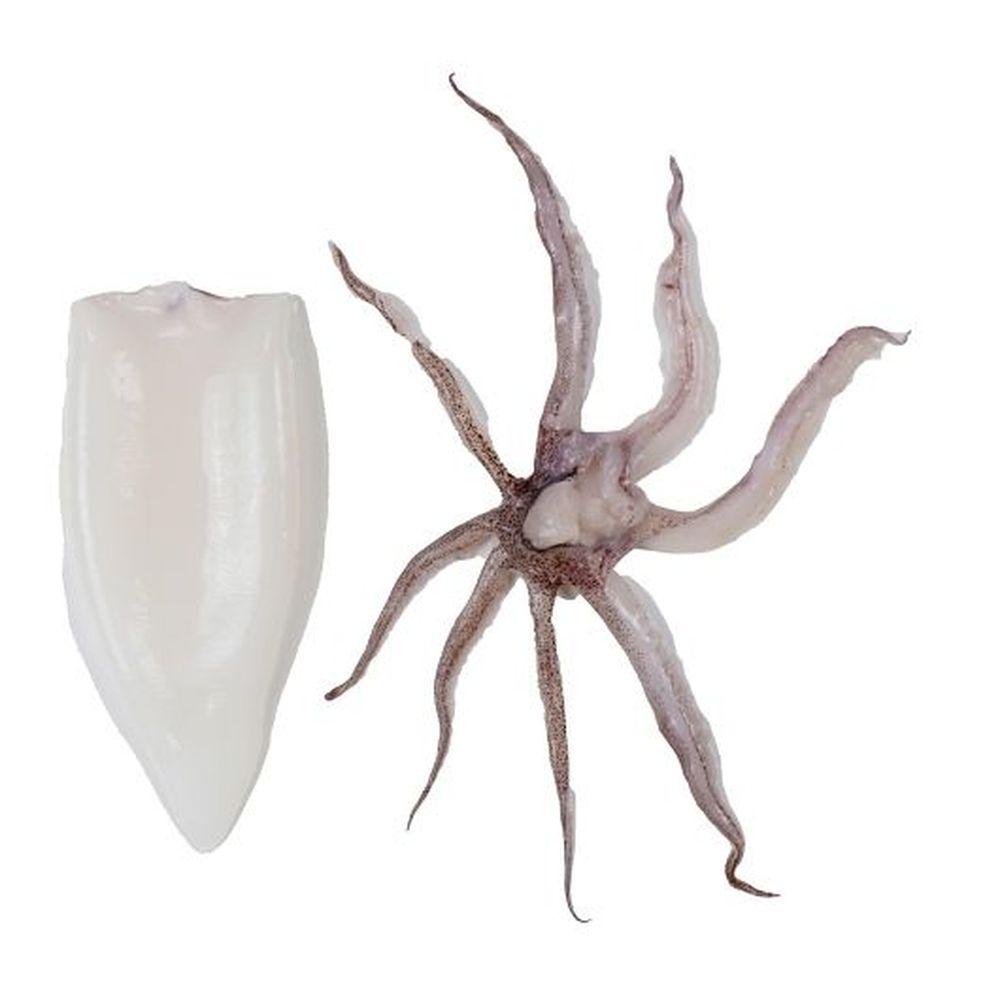 Product gallery 631636098