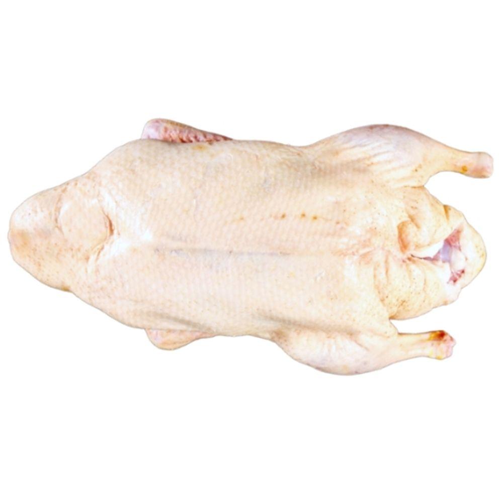 Product gallery 535117824