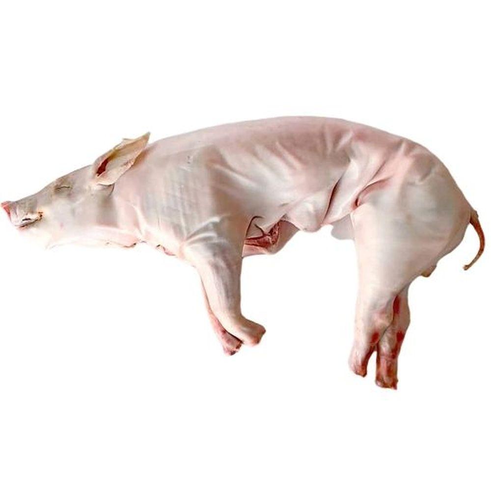 Product gallery 295100361