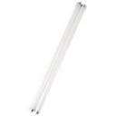 Terminator Replacement Bulb