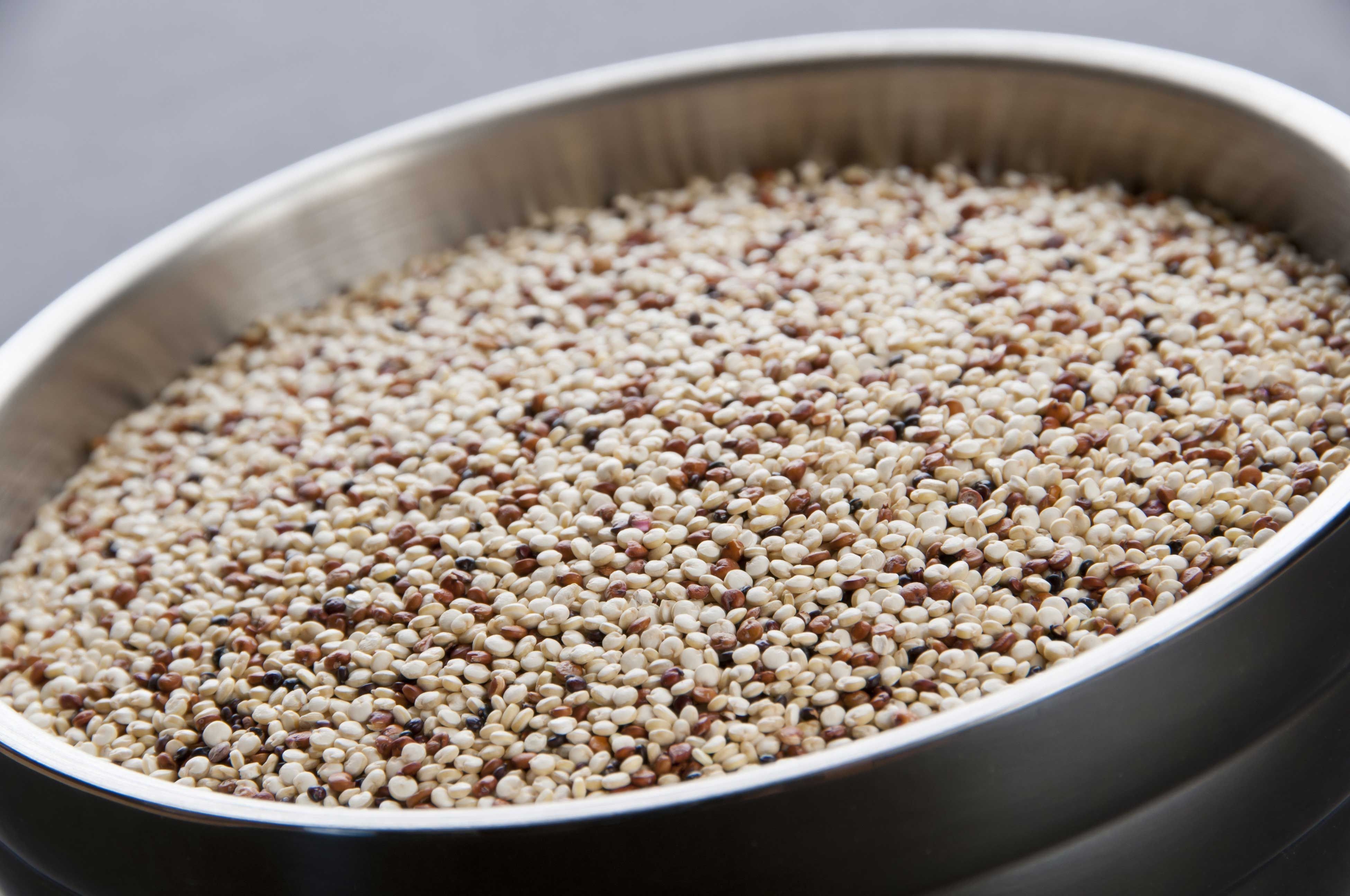 Inharvest Tri Colored Quinoa, 2 Pound -- 6 Per Case