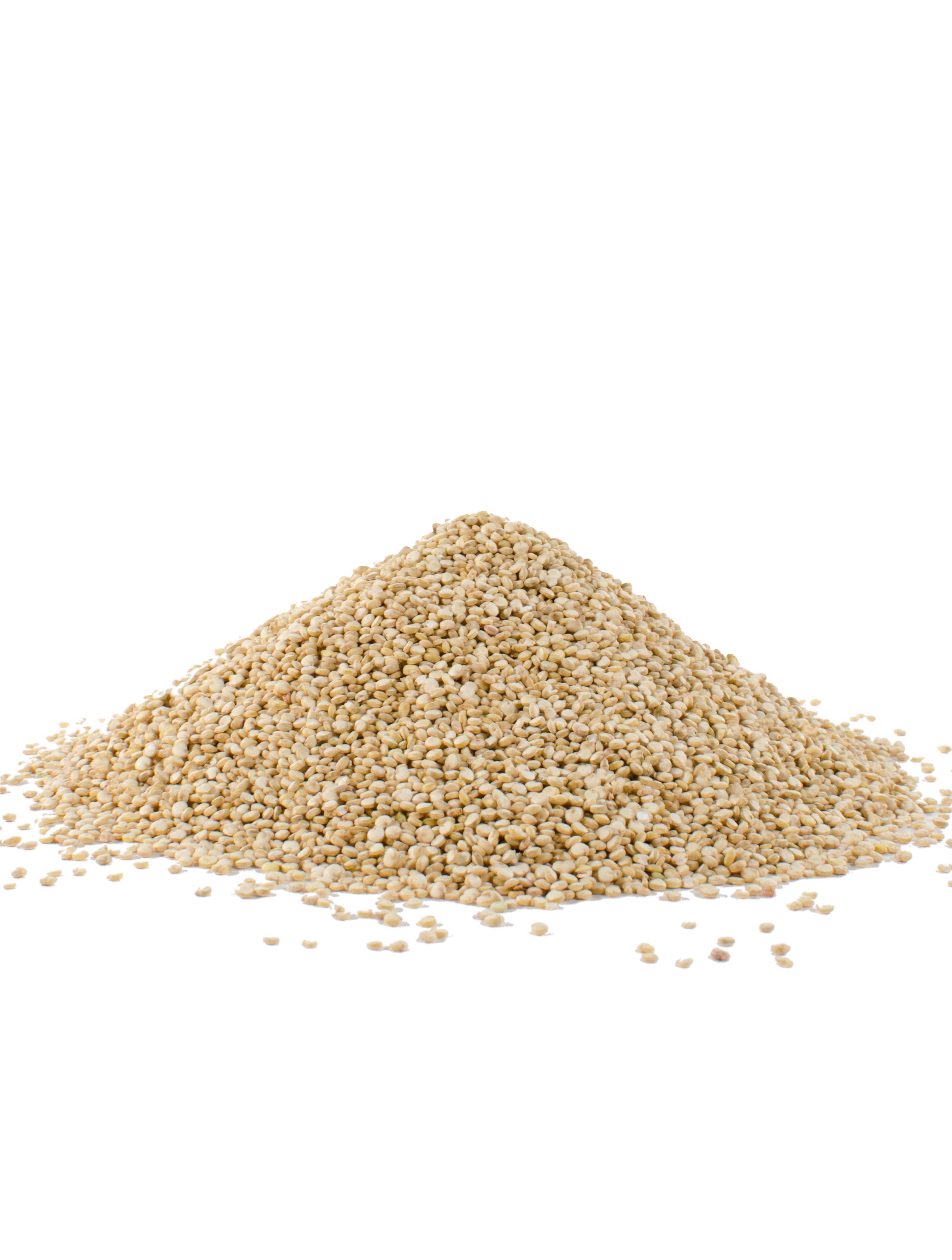 Bob's Red Mill Organic Quinoa Grain, 25 Pound