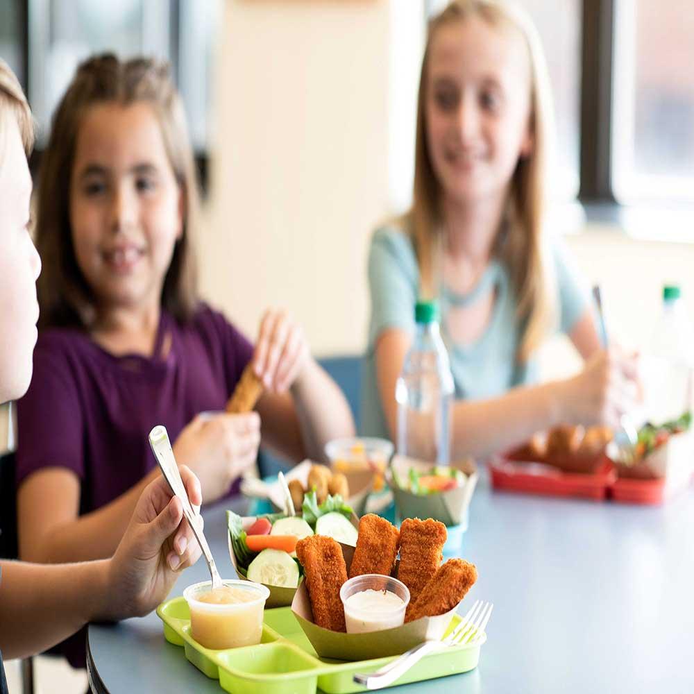 Product gallery 22419239