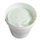 Richs Naturally Flavored Mint Chocolate Chip Bettercreme, 9 Pound