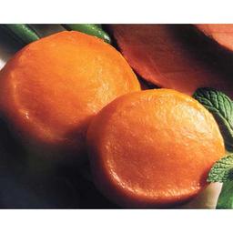 Product thumb gallery 2652533