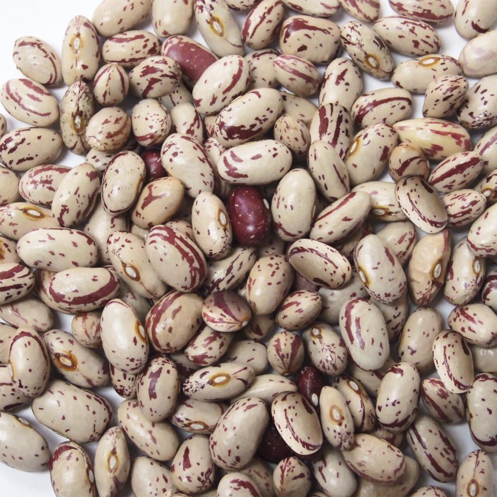 Product gallery 489115412