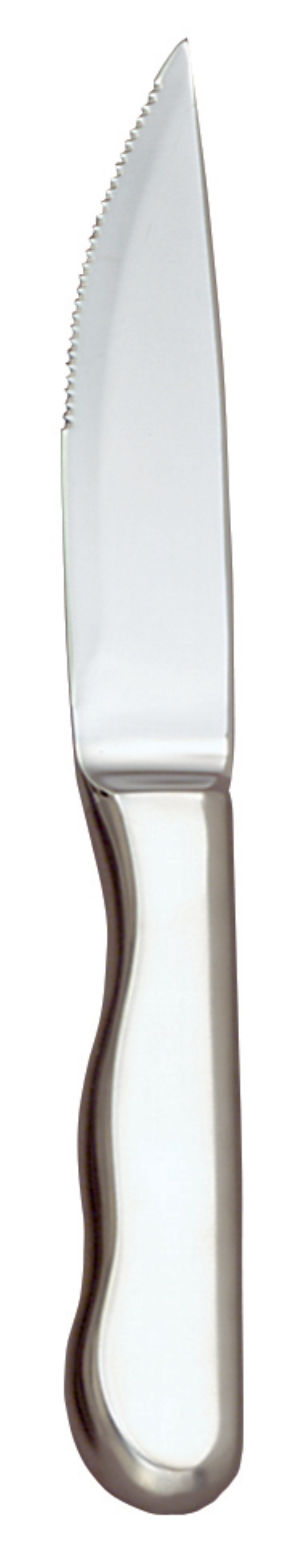 World Tableware Baron Radiant Steak Knife, 10 1/4 Inch Length -- 12 Per Case