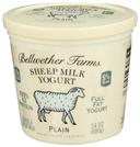 Bellwether Farms Plain Sheep Milk Yogurt, 24 Ounce -- 6 per case