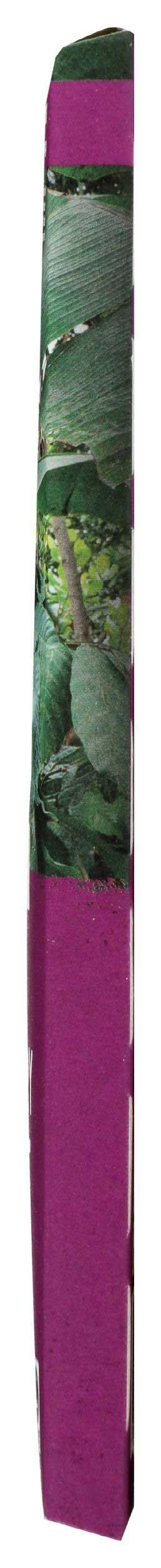 Product gallery 998687166