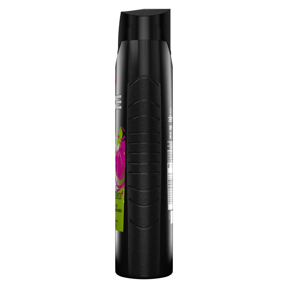 Product gallery 4312260