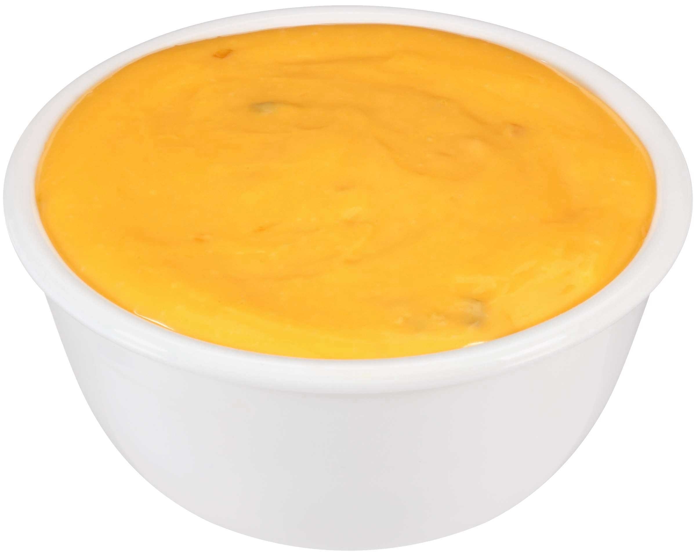 Land O Lakes Queso Bravo Queso Cheese Dip, 5 Pound -- 6 Per Case