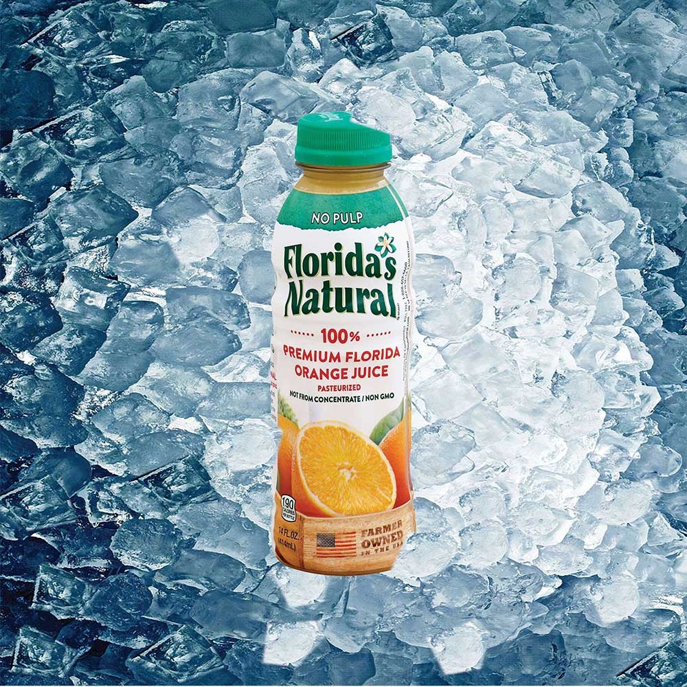 Floridas Natural Orange Juice, 14 Fluid Ounce -- 12 per case.