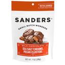 Sanders Pecan Caramel Cluster Milk Chocolate, 7 Ounce -- 6 per case
