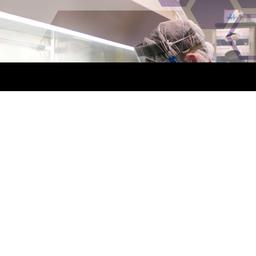 Product thumb gallery 2498741