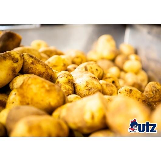 Product gallery 876099111