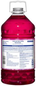 Clorox Spring Fraganzia Commercial Solutions Multi Purpose Cleaner, 175 Fluid Ounce -- 3 per case
