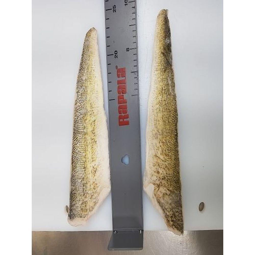 Product gallery 497297557