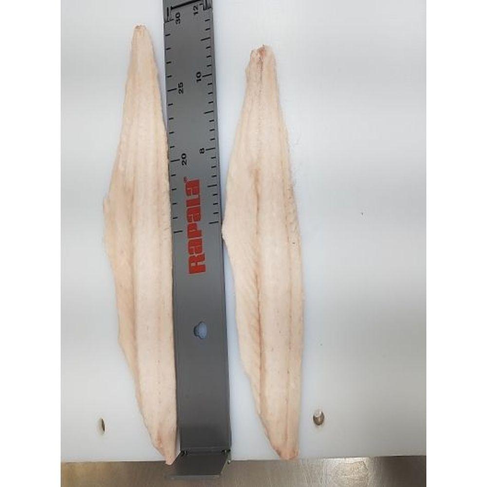 Product gallery 410798238