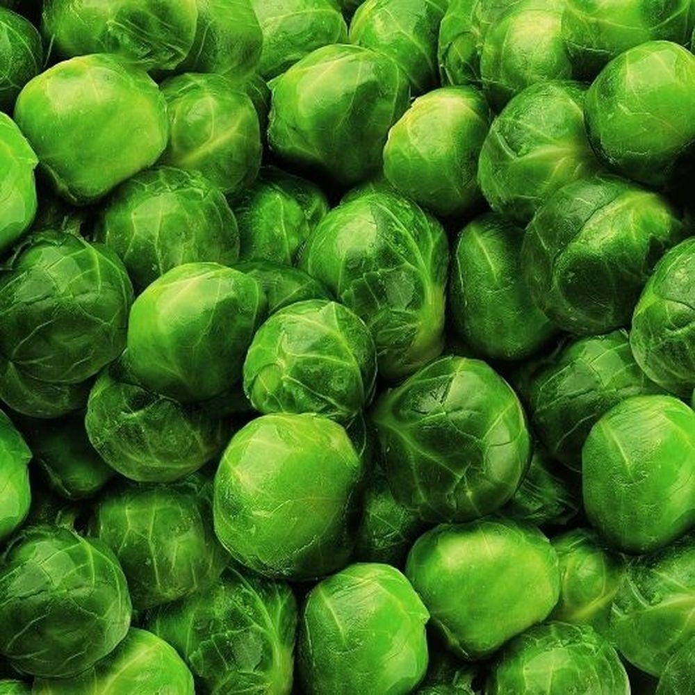 Product gallery 266138192