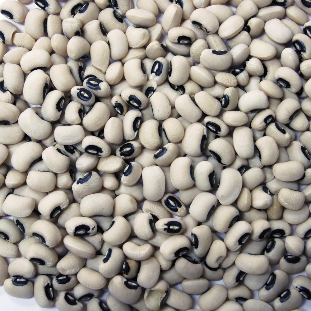 Product gallery 471979904