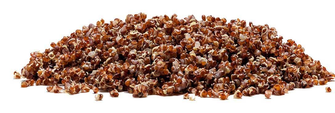 Product gallery 2463126