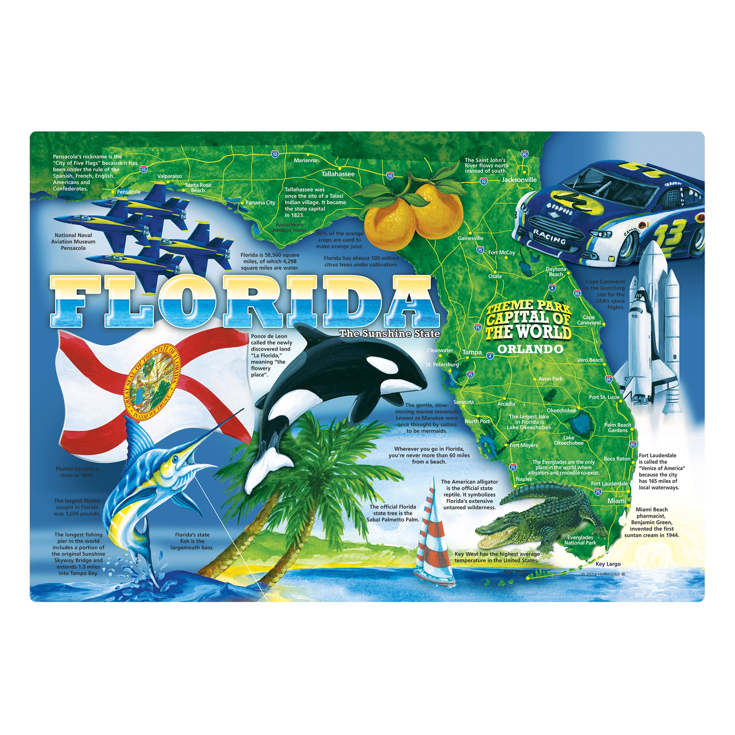 Hoffmaster Paper Florida Placemat, 9.75 x 14 inch -- 1000 per case.