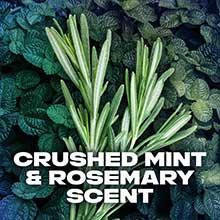 Product gallery 3374356