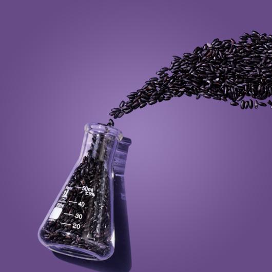 Product gallery 3303789