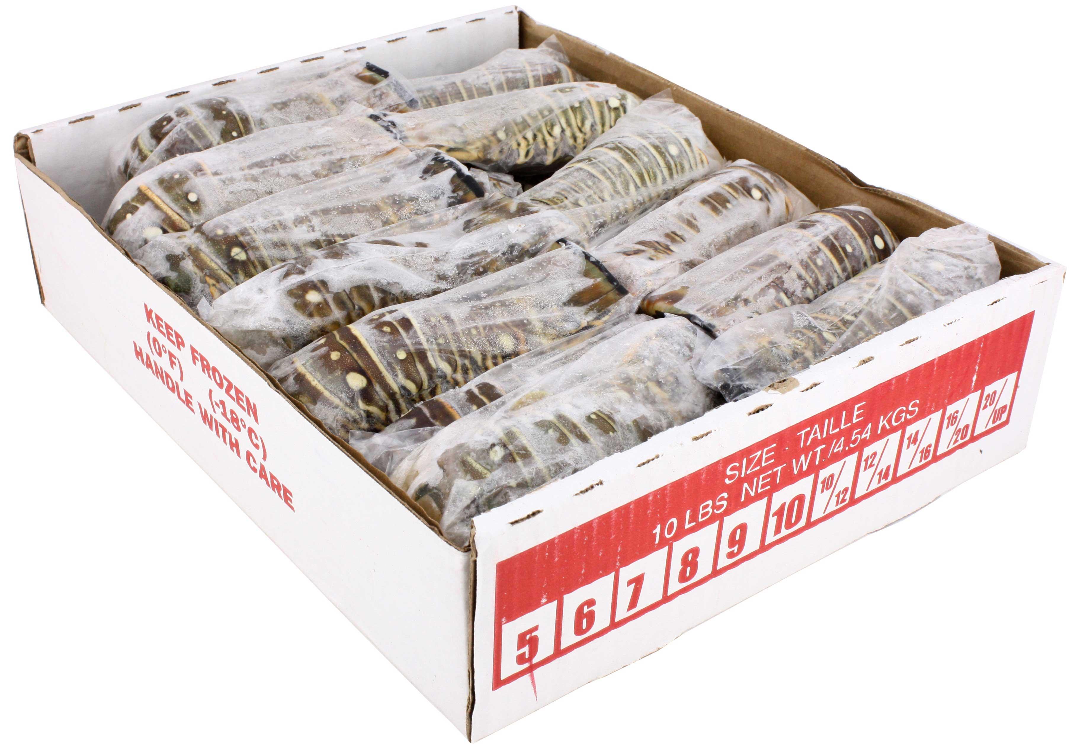 Product gallery 1087908