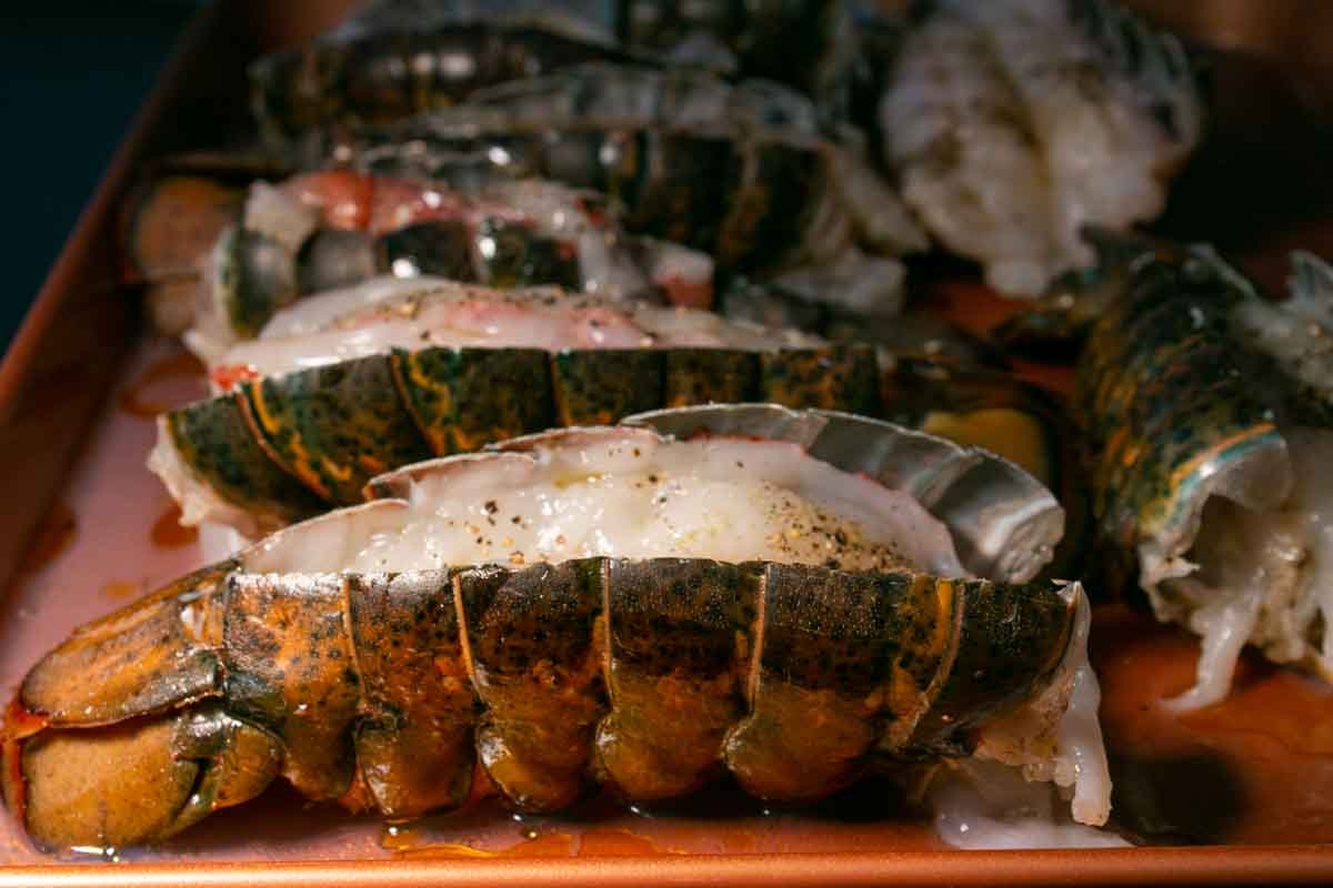 Seamazz Canadian Lobster Tail, 6, 7 Ounce Piece, 10 Pound