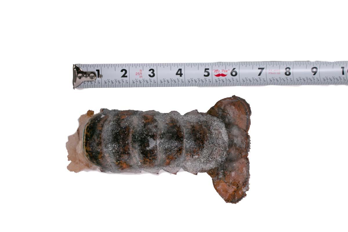 Product gallery 3562139