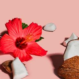 Product thumb gallery 4225021