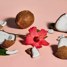 Product thumb gallery 4225024