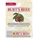 Burts Bees Ultra Conditioning Lip Balm, 0.15 Ounce -- 48 per case