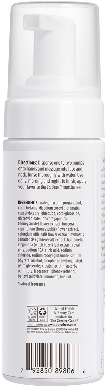 Burt's Bees Skin Nourishment Gentle Foaming Cleanser, 4.8 Ounce -- 12 Per Case