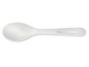 World Centric Compostable Up To 120 Fahrenheit PLA Spoon, 6 inch -- 1000 per case.