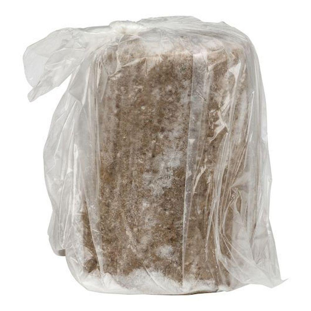 Product gallery 439687473