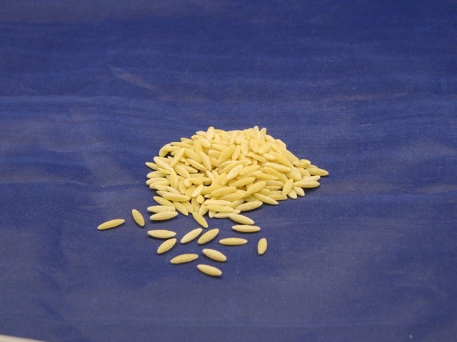 Ravarino & Freschi Short Orzo Rosamarina Pasta, 5 Pound -- 4 Per Case