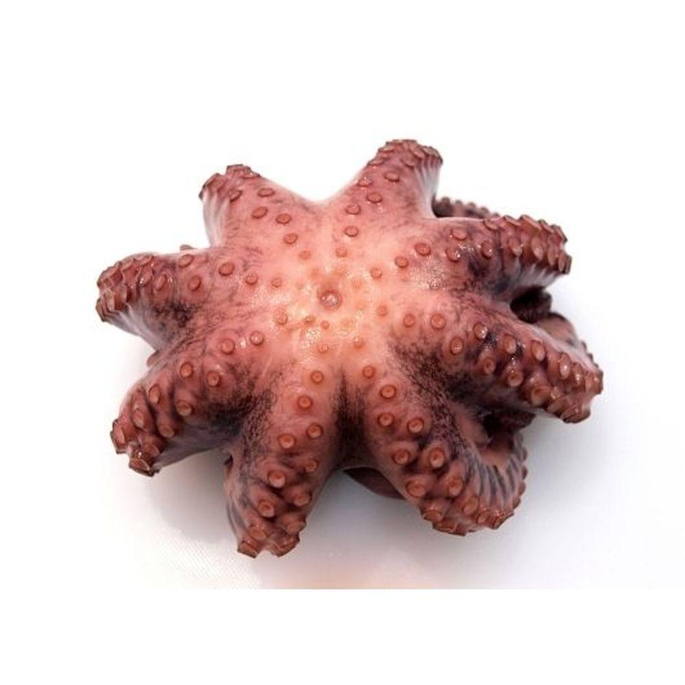 Product gallery 473347383