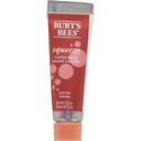 Burts Bees Cocoa Crush Squeezy Tinted Balm, 0.43 Ounce -- 3 per case